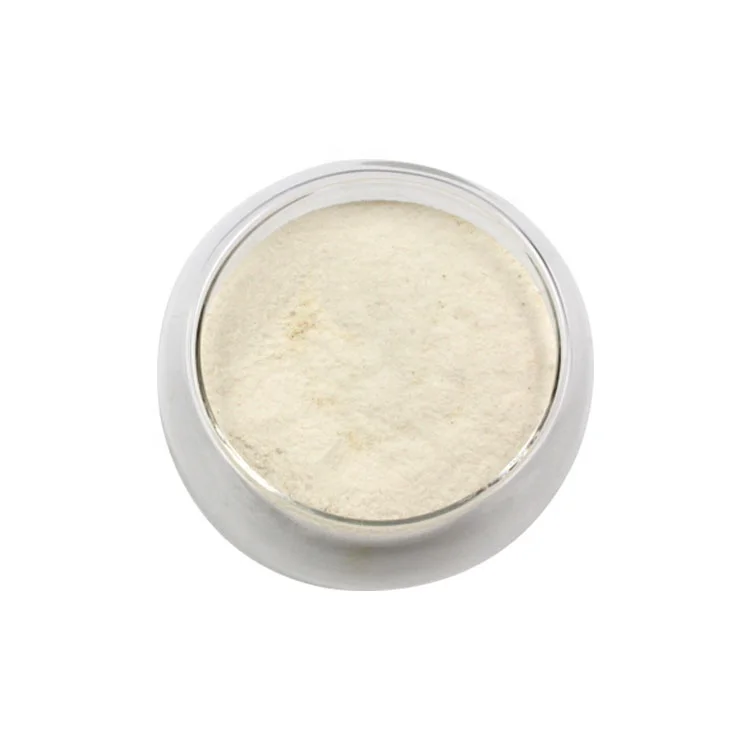Factory Price Raw Materials HACCP ISO22000 probiotics powder OEM Lactobacillus Salivarius 10Bcfu