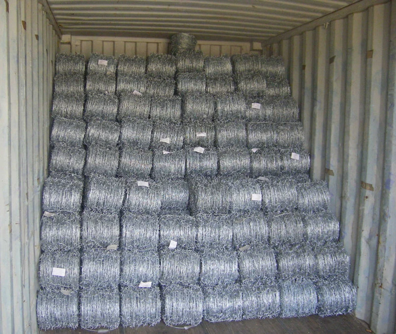 hot dipped Galvanized Barb iron Wire double twisted