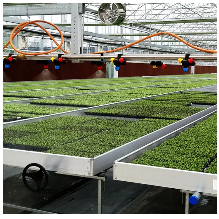 Hydroponic Greenhouse Systems Ebb And Drain Table Trays 4X8 Flow Benches Grow Table Seedbed Rolling Benches