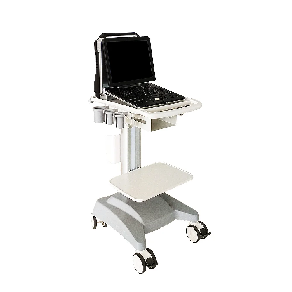 LTUB55 Medical Equipment 3D/4D Color Doppler Diagnostic Ultrasound System Manufacturers
