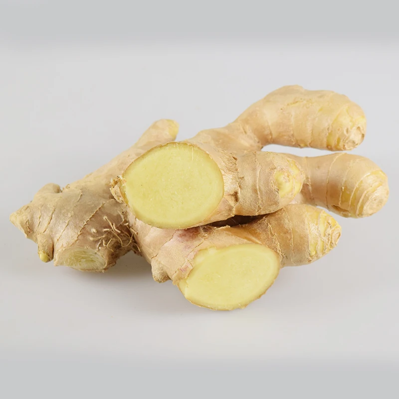 Свежий имбирь оптом, поставка органического нового свежего имбиря