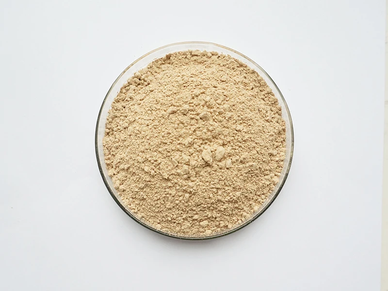 40% Soybean Extract Powder Isoflavone