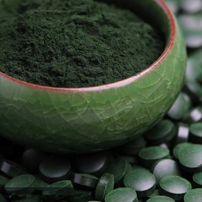 100% Pure High Protein Organic Animal Feed Spirulina Powder