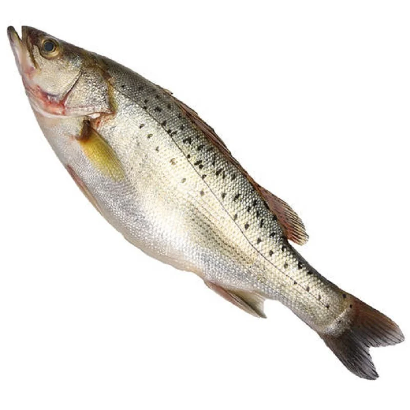 Дигидрат оксида триметиламина TMAO 98% для ловли рыбы в форели, лосося, шлепанцев, карпа, CAS № 62637-93-8