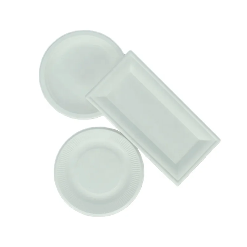 Disposable Eco-friendly 100% biodegradable Raw Material for Buffet New Year Party Sturdy Paper Plate