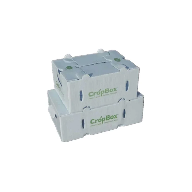 Portable correx floor sheet coroplast pp flat plastic sheets 48 x 96