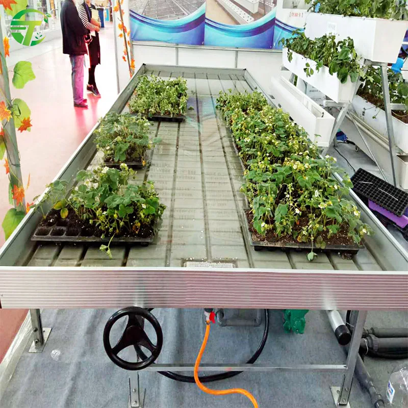 greenhouse 4x8 flood rolling bench ebb and flow table with hydroponic growing tray