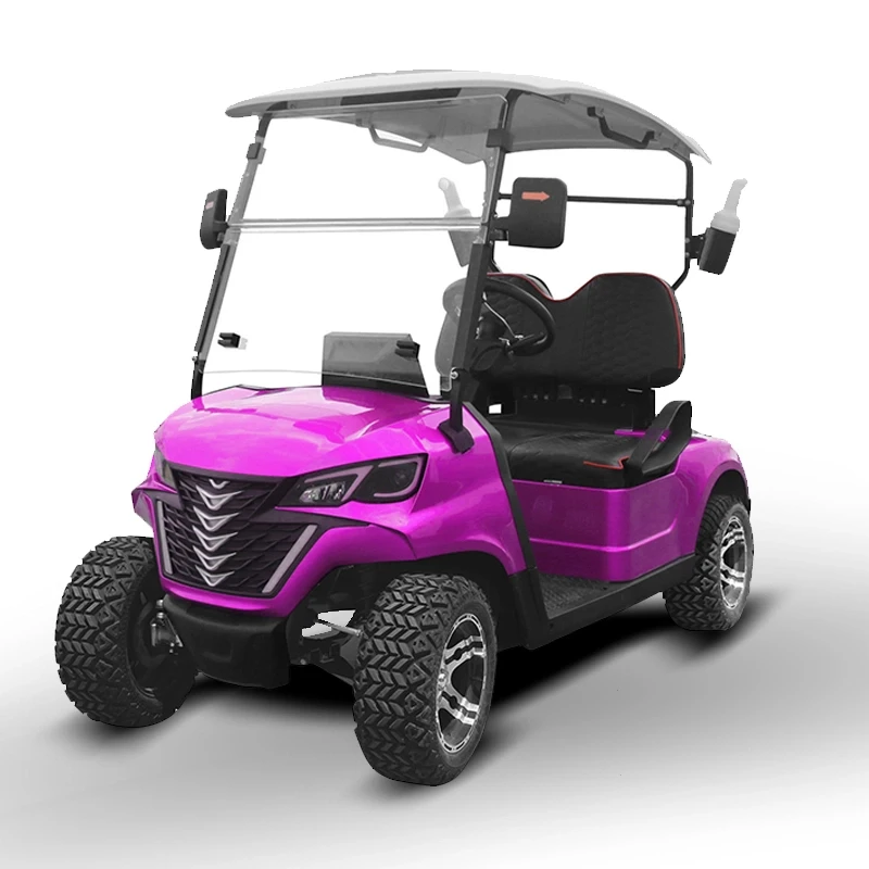 New Design golf electric car 2 Cortex seater golf club application golf car with Front Basket