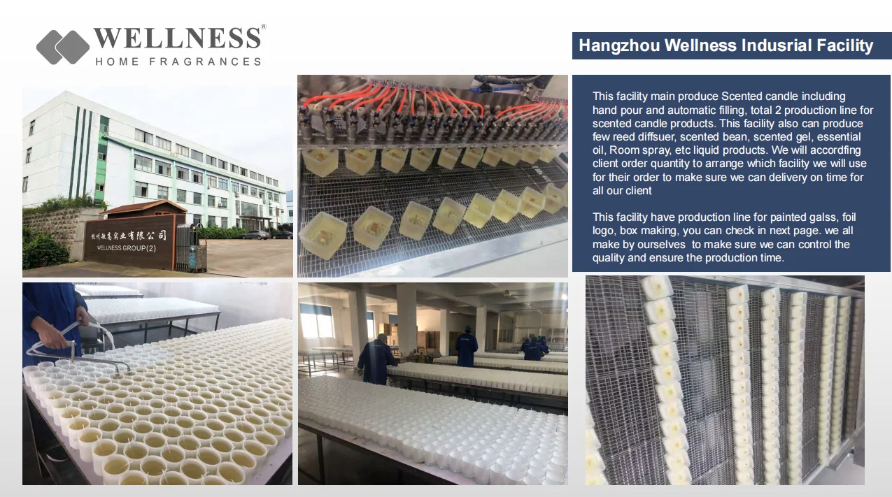 WELLNESS Holiday Ornament Scented Soy Wax Candle Luxury Custom Glass Jar Essential Oils Perfume Candles & Home Fragrance Gift