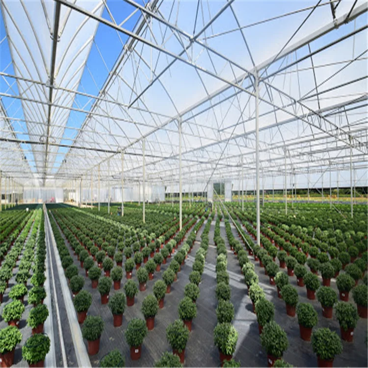 New agricultural greenhouse  Hydroponic Planting system for Growing Vegetables