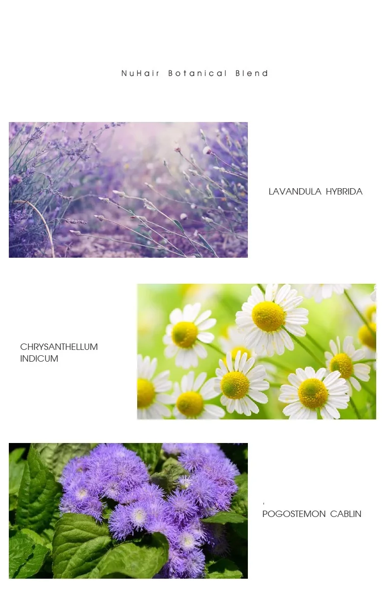 Private Label High Quality 100% Pure Natural Chloroform Good Vegan Fast Deep Sleeping Spray For Sleep Sale Perfume