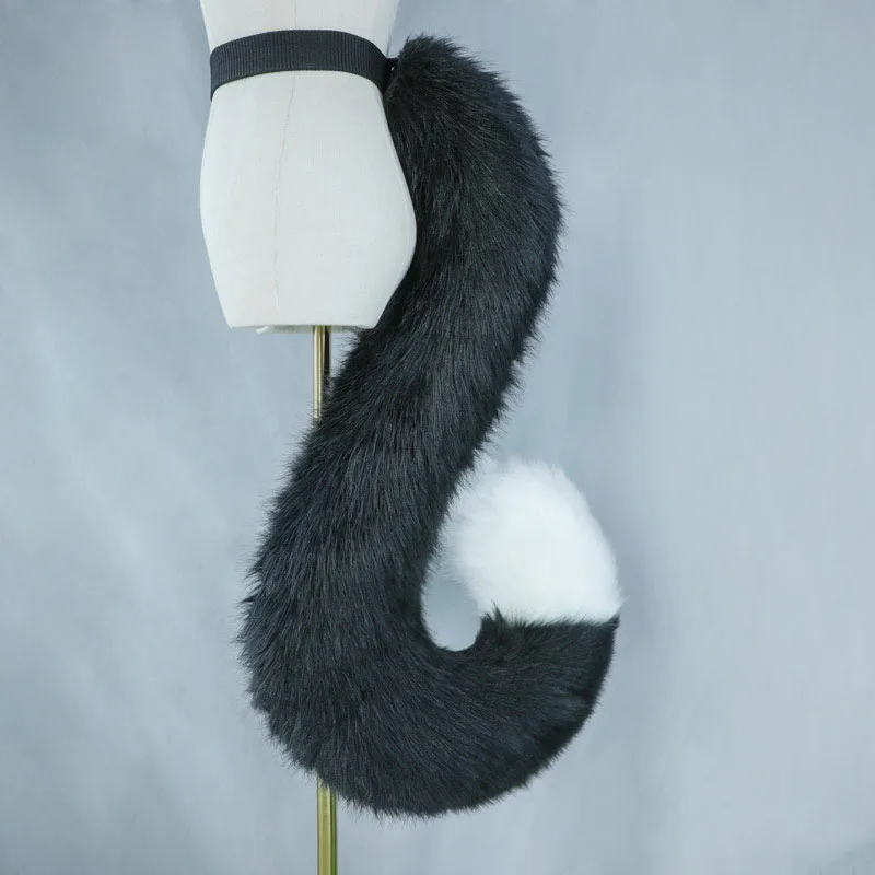 cat tail (1).jpg
