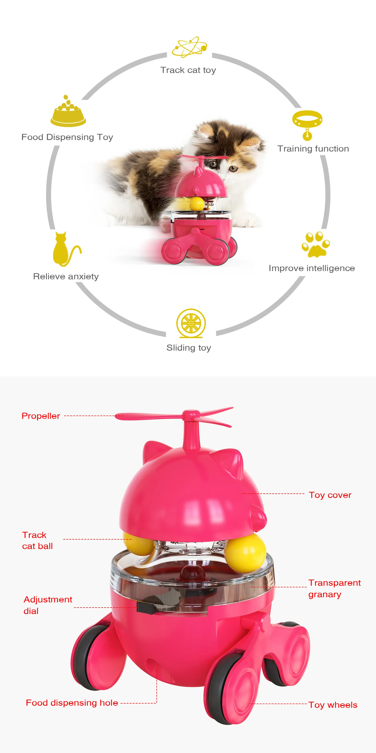 IMG_6513(20210712-120000)