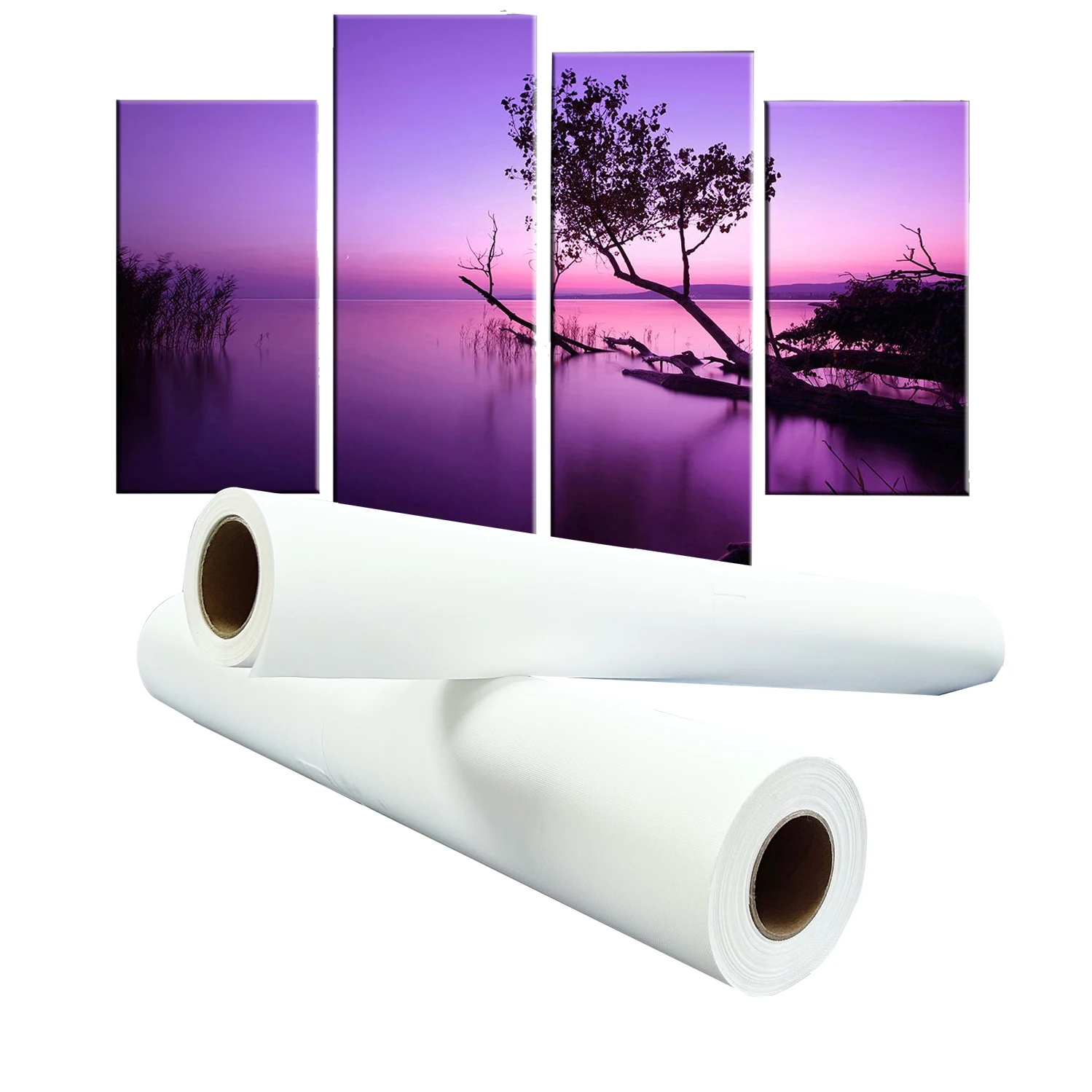 High Quality 260gsm Matte Coated Polyester Inkjet Canvas Roll Fabric Artist Canvas from COLORFAN
