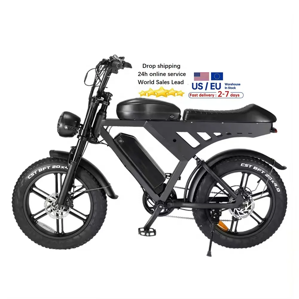 20*4inch V30 Fatbike electric  city  bike dirt ebike delivery e bike  bicycle electric bicycle 2 battery  Long mileage  off road
