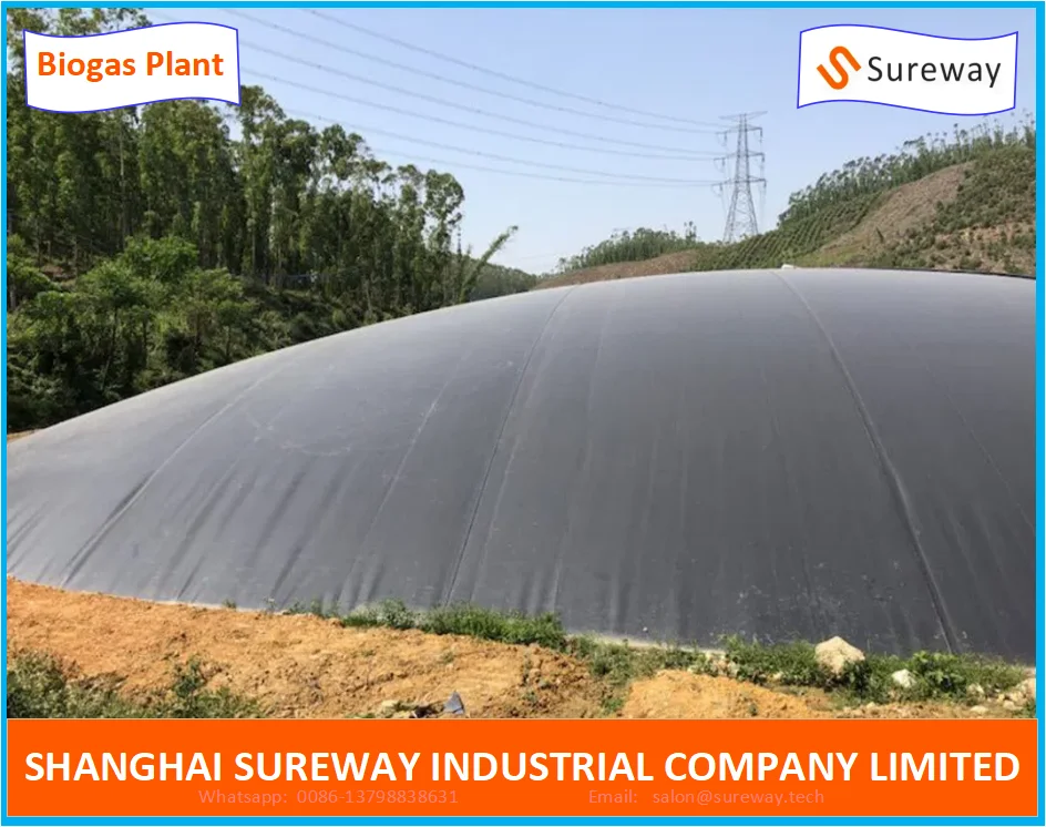 HDPE Geomembrane Lagoon Animal Waste Biogas Digester Plant