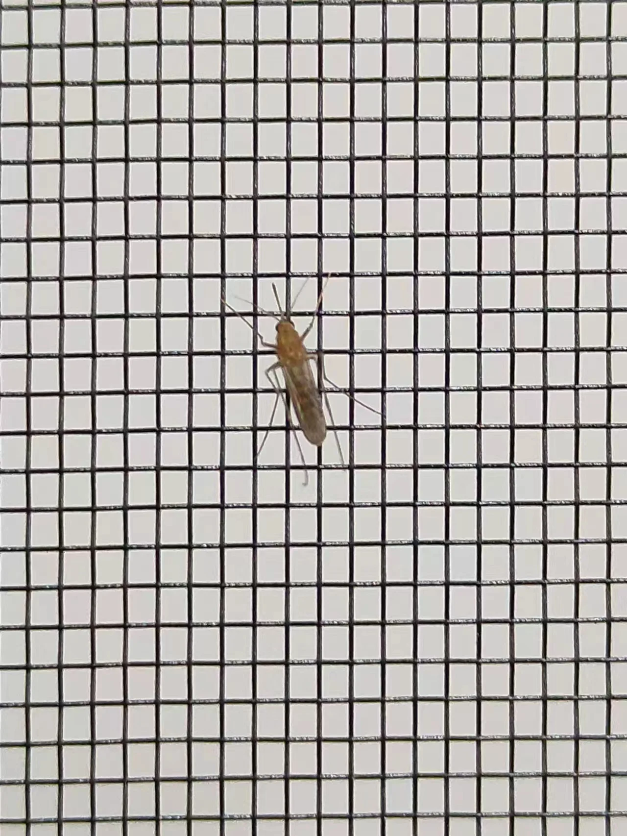 304 316 Stainless steel wire mesh screen 90 120 150 micron filter mesh