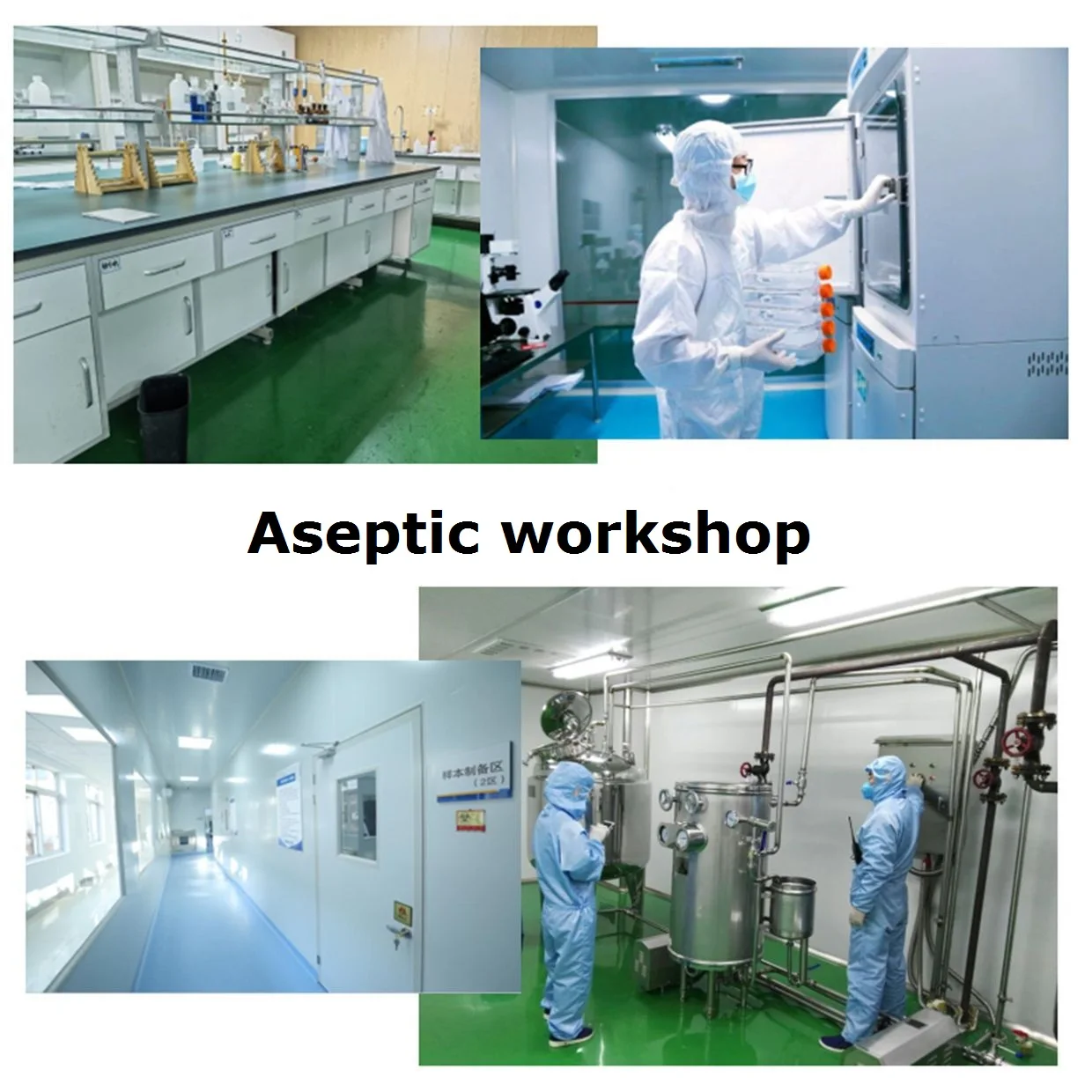 Available Wholesale Hot Sell High Quality China-Made Sophora Japonica Flower Extract