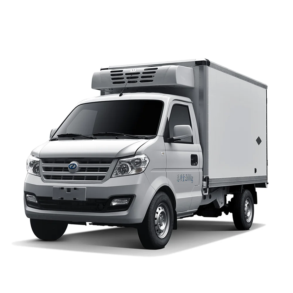 China DFSK EC31 New Energy Vehicles Best Quality Electric Cargo Truck Good price mini electric van for sale Certification