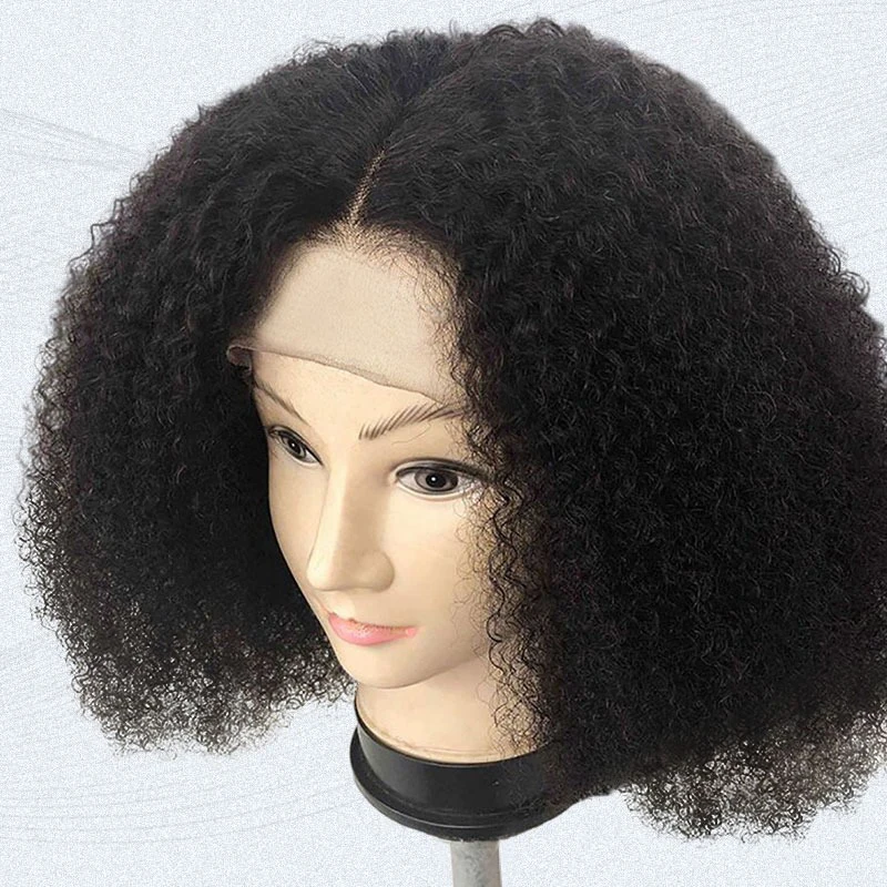Transparent 200 Density Hd Lace Wig Mongolian Afro Kinky Curly Wig For Black Women Natural Afro Hair Wigs Human Hair Lace Front