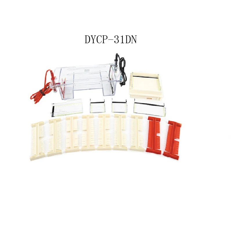 DYCP-31DN electrophoresis horizontal machine laboratory