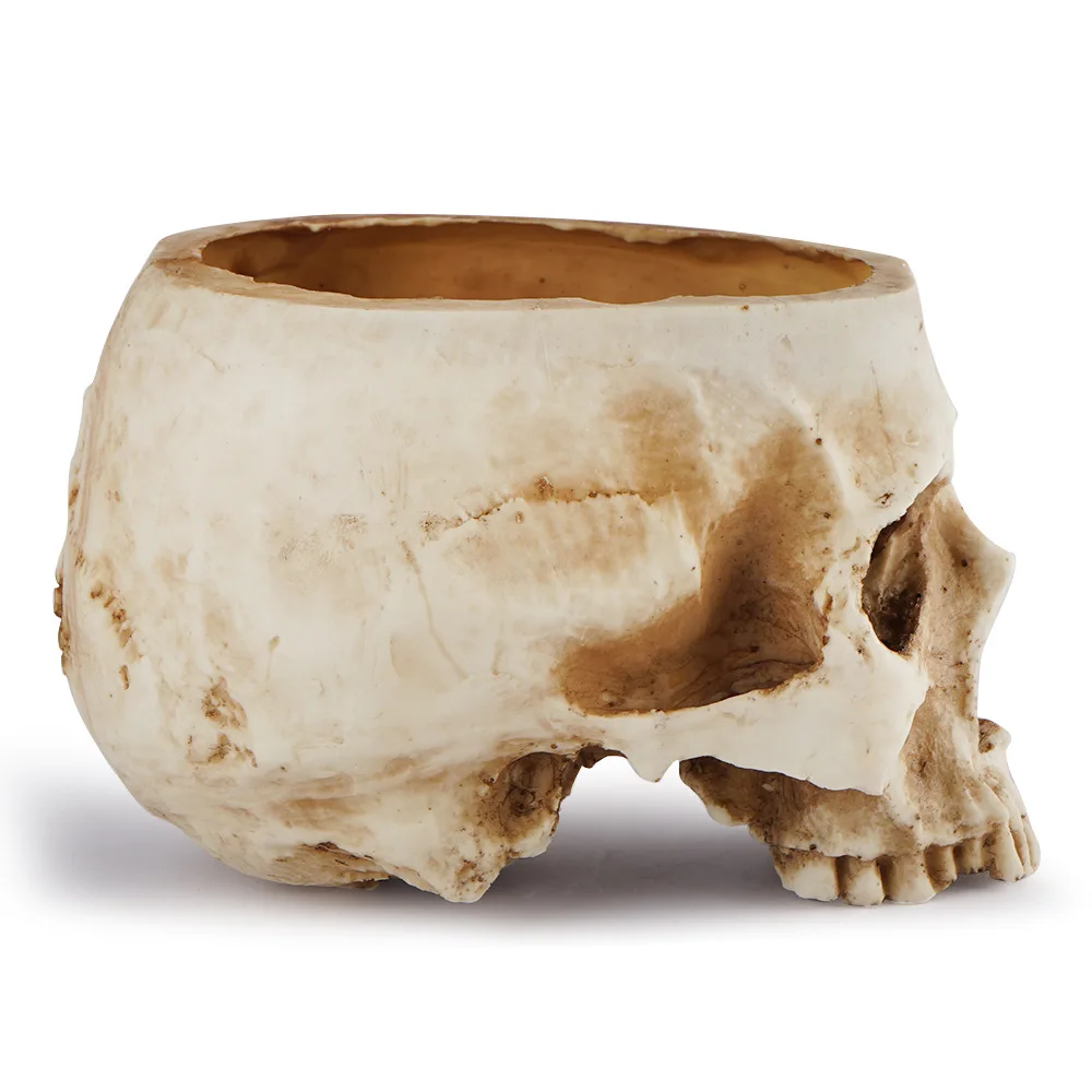 Amazon Top Cool Gift For Friends High Strength Resin Flower Pot Skull Shaped for Home Office Desk Decorations Flower Planters