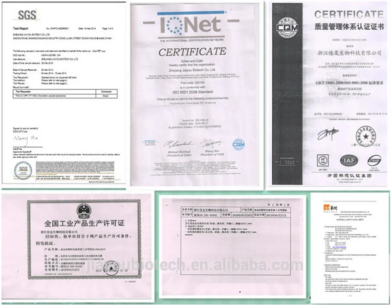 certificate02.jpg