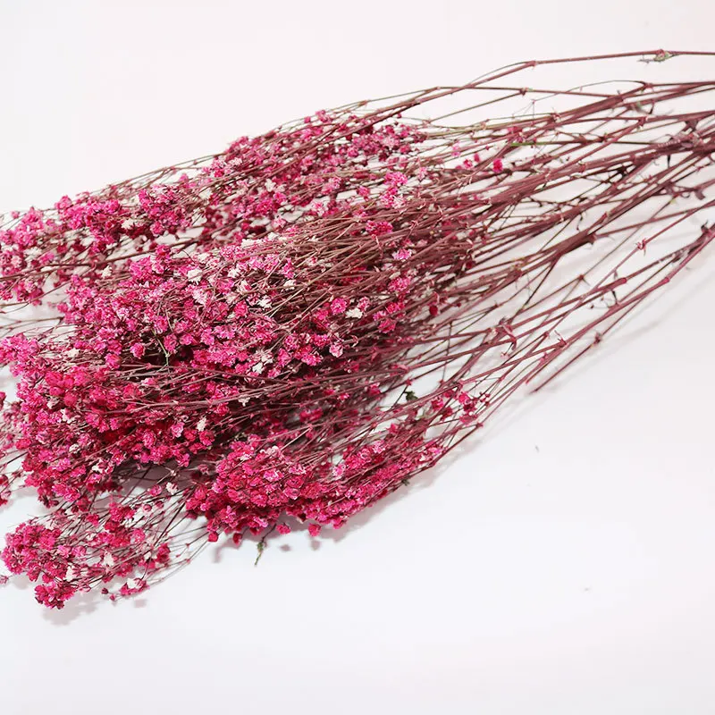 100 г в букете консервированные цветы Babysbreath Натуральные сушеные декор для вечеринки и дома фиолетовые вечные