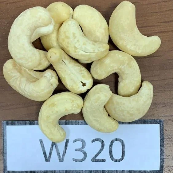 Оптовая продажа 2021, сушеные белые кешью W320 для здоровых закусок, высокое качество, сделано в вьетнаме по лучшей цене