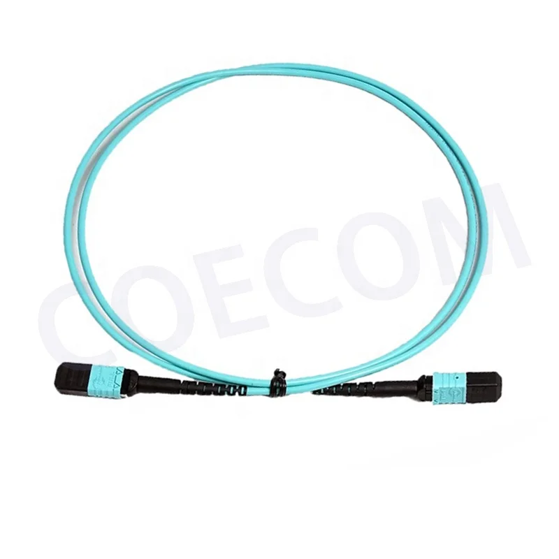 Best Price Module MPO to MPO/MTP Patch Cord Female/Male Fibre Optique Equipment FTTH, FTTX LAN, MAN, WAN