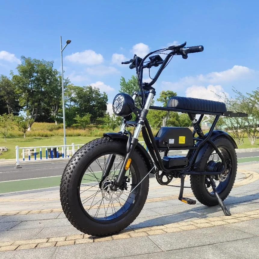 Electric Fat Tire Bike Retro Moped Style -4 Scout Yuanjian Ebike Pedal Assisted Vintage Electric Bikes