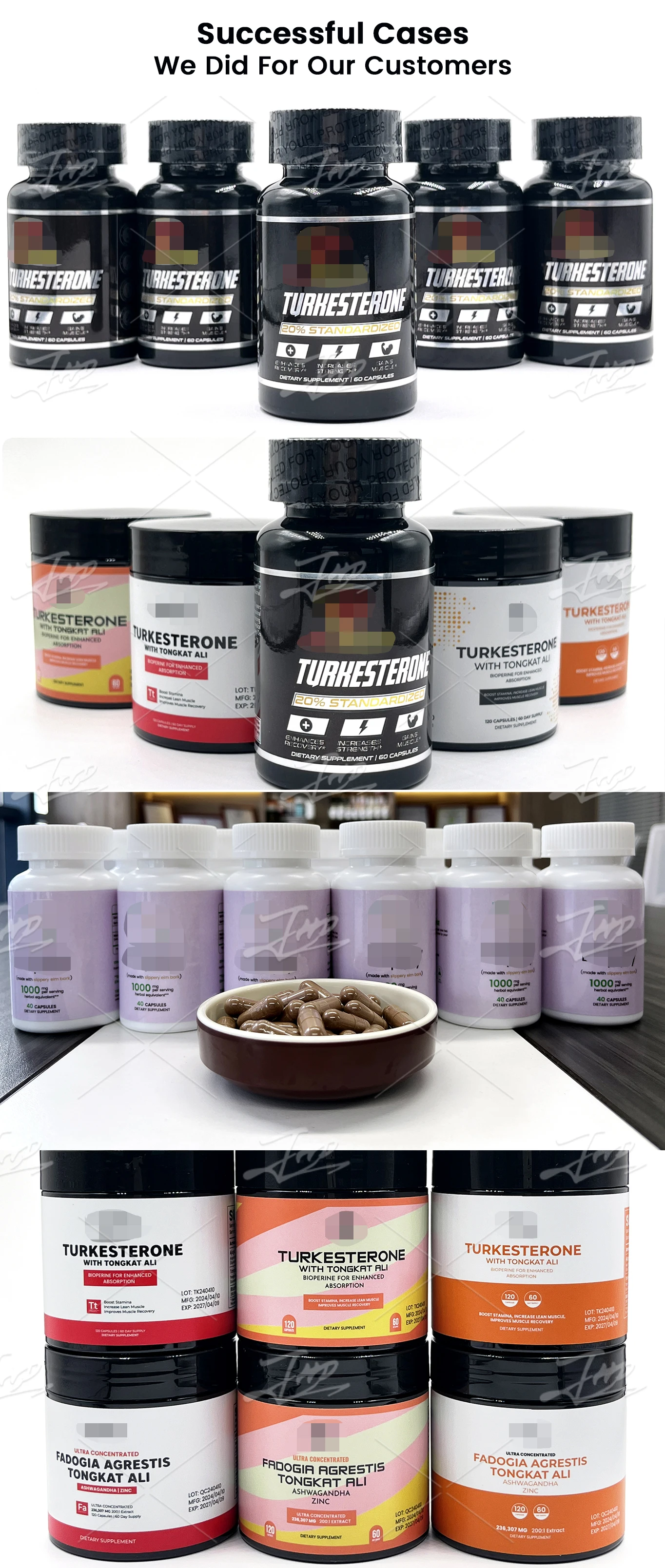 OEM Private Label 500mg Turmeric Extract Powder 98% Curcumin Capsules