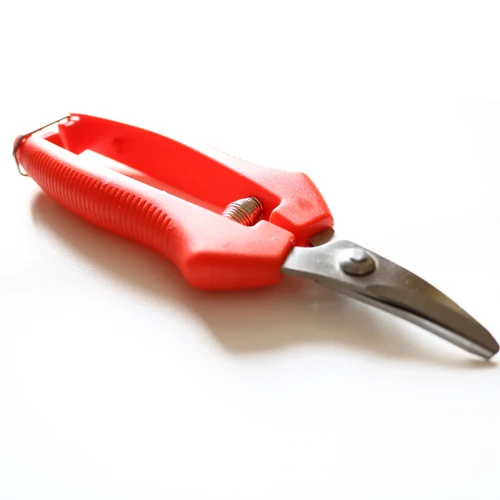 Factory Direct Wholesale Stock Stainless Steel Pruning Shears Picking Fruit Grape Fruit Branches Garden scissors