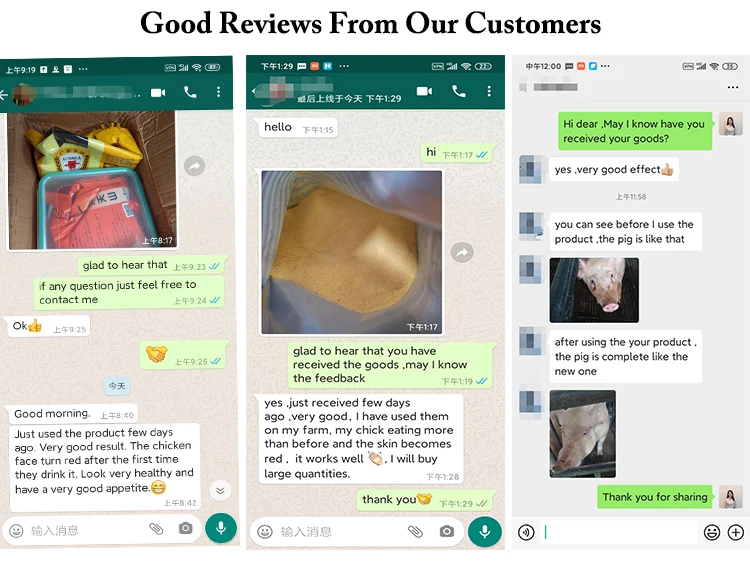 
Wholesale price metronidazol soluble powder pure metronidazol poultry feed 