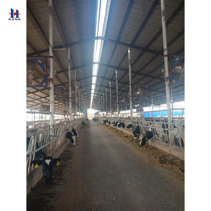 
Professional factory supply Prefabricated steel structure sheep farm shed with CAD design 