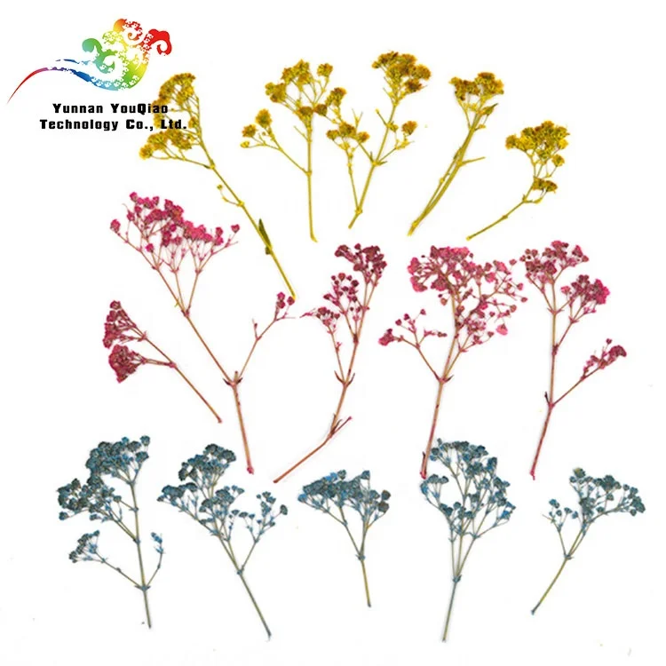  2020 Новое поступление сушеных консервированных гипсофил детский цветок на дыхание 30-40 см для подарков день Святого Валентина и украшения дома офиса