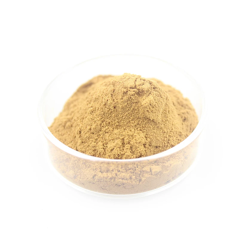 Hot Selling Factory Price Custom Instant Muscletech Whey Protein Sachet Supplement