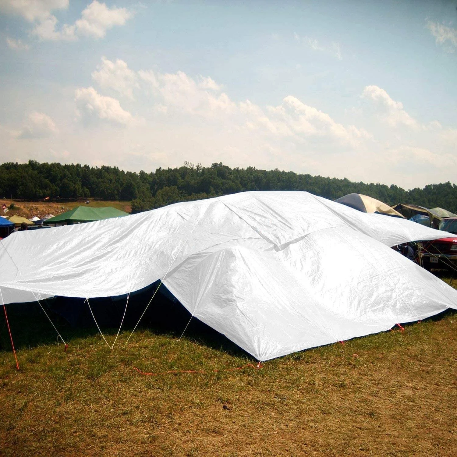 High Quality Poly Tarp Fabric For Ground/truck/boat Cover Available with UV  Resistance