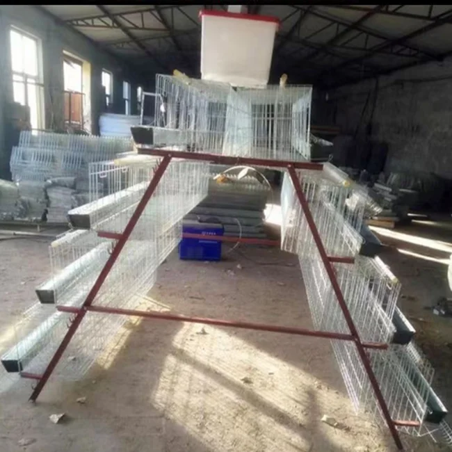 hot sales chicken cage system for layer in uganda market