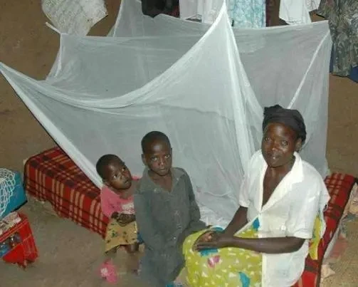 Fine Mesh Luxury Mosquito Net Large Square Mesh, Suitable for Single to King Size Beds, Suitable for Home and Travel