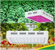 Lite High Quality LED Grow Lights 660nm Green House Full Spectrum LED Indoor Plant Light