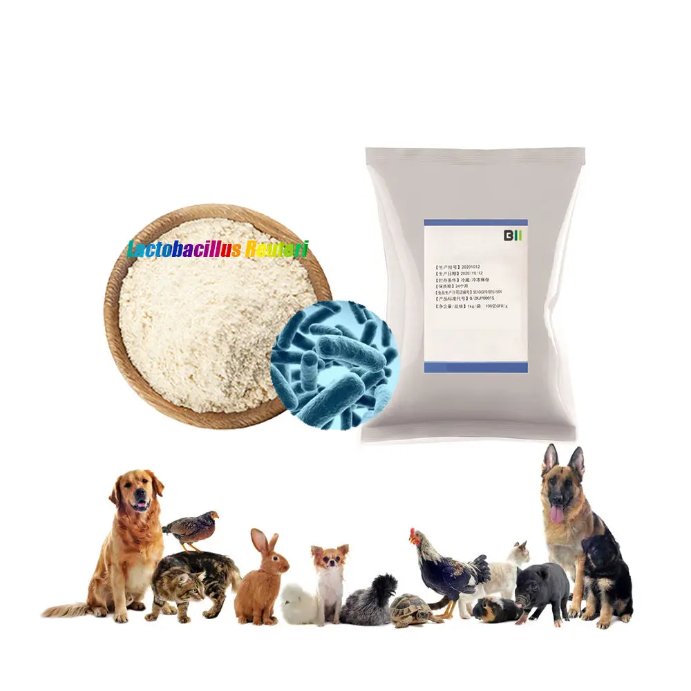 Factory wholesale pet food feed additives supplements freeze dried powder dog probiotics