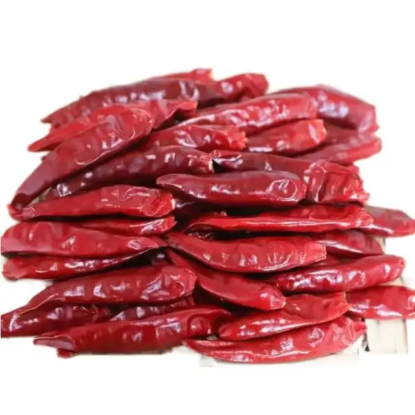Wholesale Fresh Whole Cayenne Red Dried Chili Pepper Natural Spicy Herb Spice for Cooking IMO Certified Dry Processed