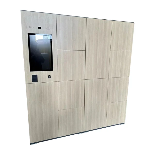 Corrosion-resistant stainless steel smart storage lockers Luggage lockers support multiple language systems