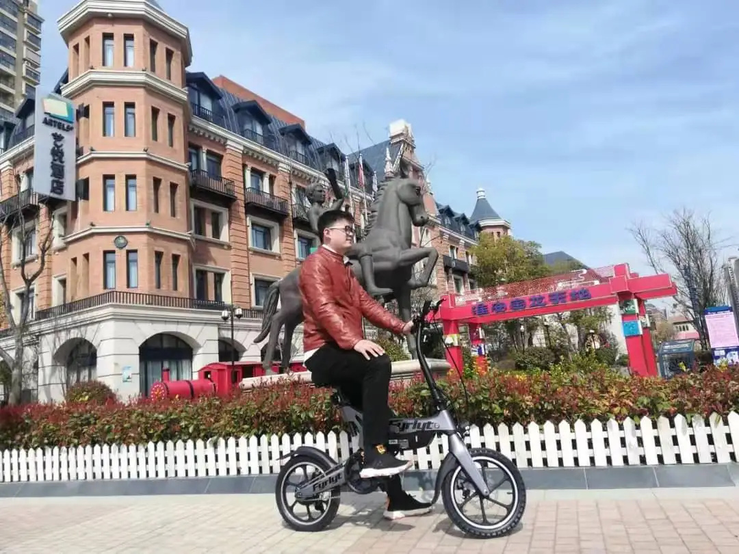 P2 Folding 20 Inch Removable Battery New Design 16 Inch Pedal Assist Electric Bike Bicycle