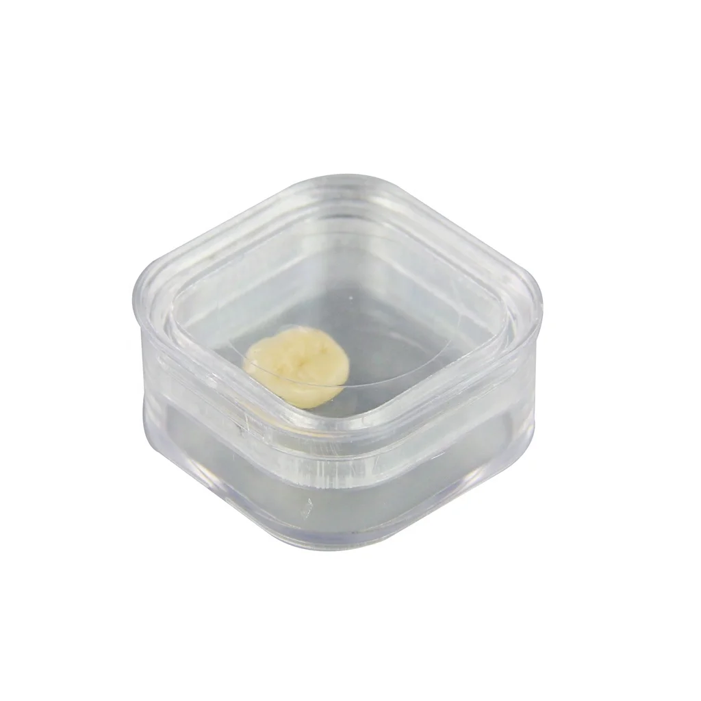 Wholesale Plastic Transparent Teeth Orthodontic Retainer Denture Storage Box - 1.5 inch