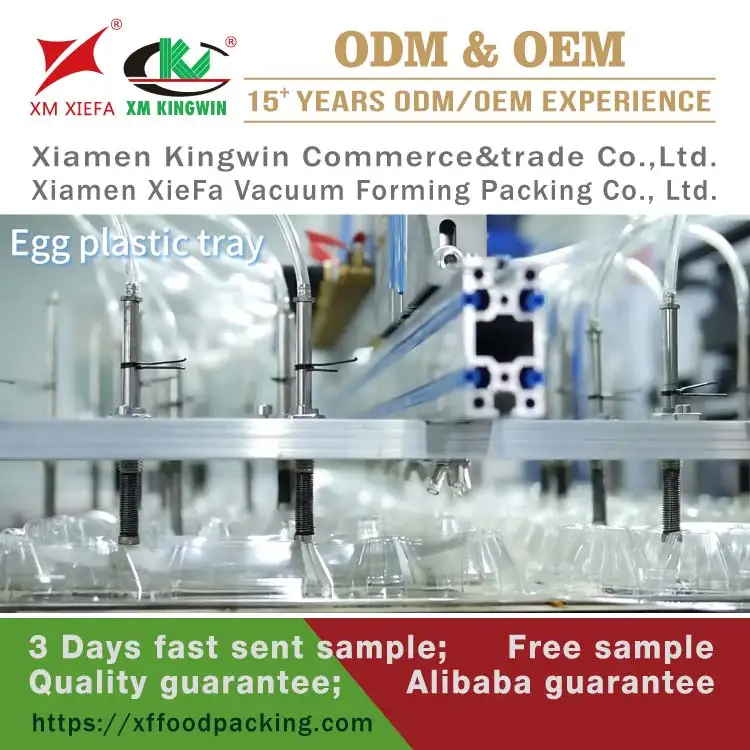 10 Holes Quail Eggs Tray PET Plastic Disposable Clear Blister Blister Packaging