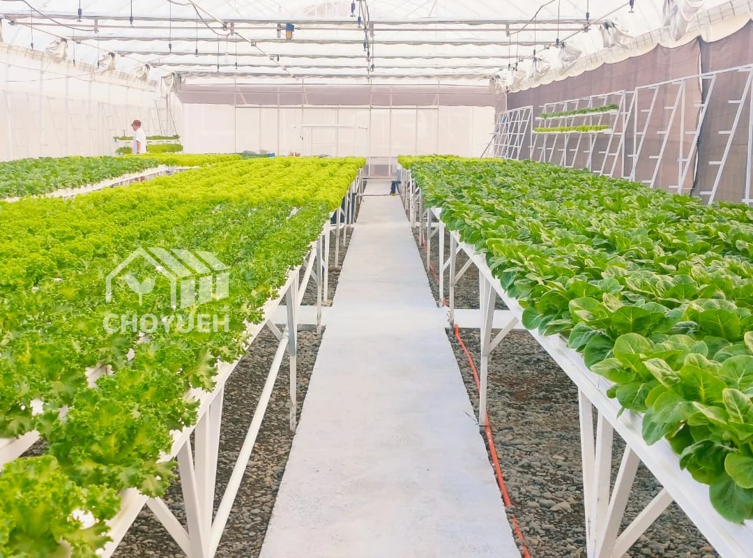 Pc Sheet Greenhouse Polycarbonate Agriculture Greenhouse Commercial Greenhouse  with Tomato Growing System Large