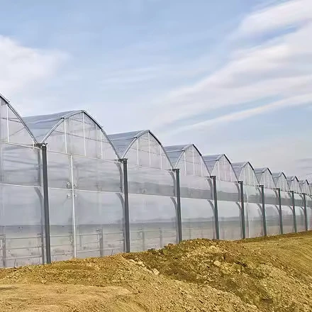 One-one Multi span irrigation system and intelligent control system film greenhouse