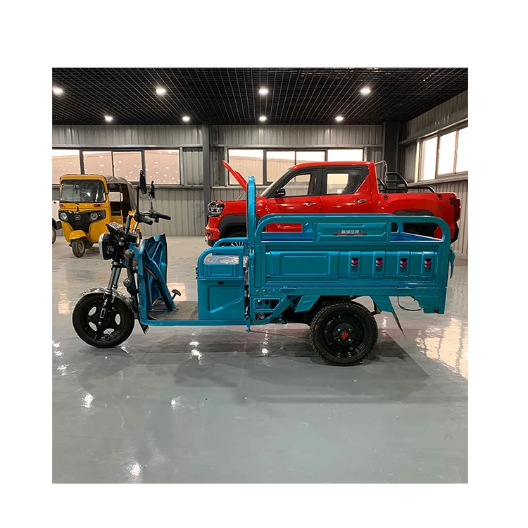 Hot Selling Electric Tricycle Top Speed 45km/h 800W 60V Motor Open Body for Cargo Made in China